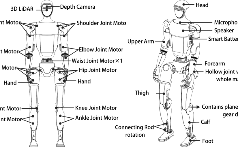 Unitree’s Humanoid Revolution: The G1’s Rise, Tesla’s Optimus Rivalry, and the Path to Everyday Robots
