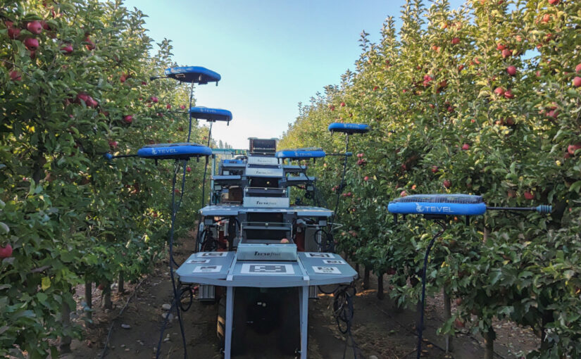 Flying into the Future: How Israeli Drones Are Revolutionizing Fruit Harvesting